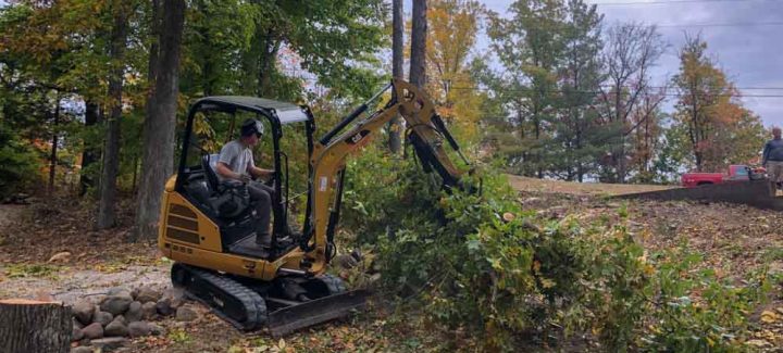 A backhoe with a large claw attachment is cutting down a tree on a steep hillside. There are other trees and bushes on the hillside.