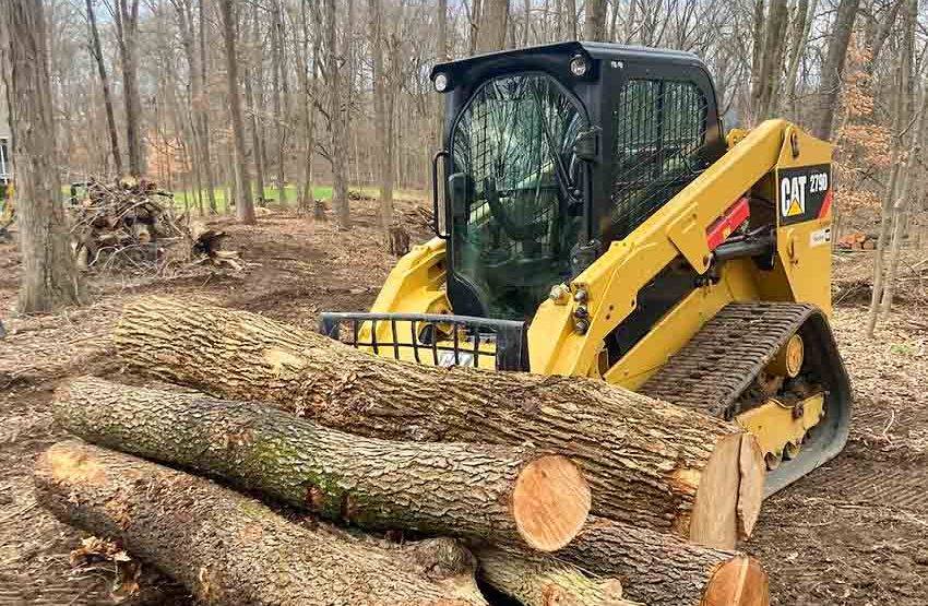 A yellow Caterpillar skid steer loader is moving logs through the woods.