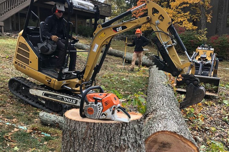 Skilled professionals working on removing a large trunk of a tree using a mini excavator